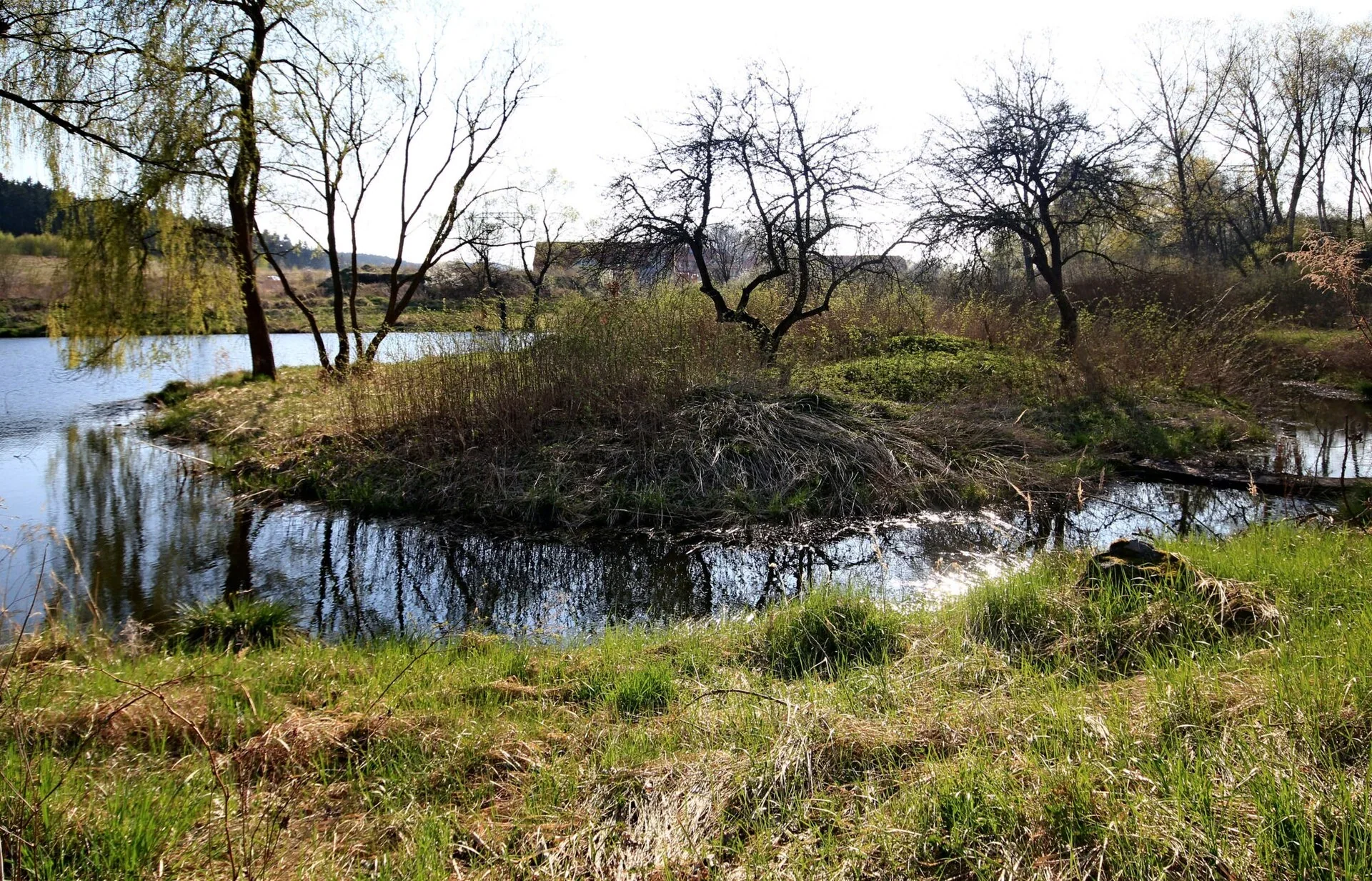 Fotografie místa Tvrz Božešice