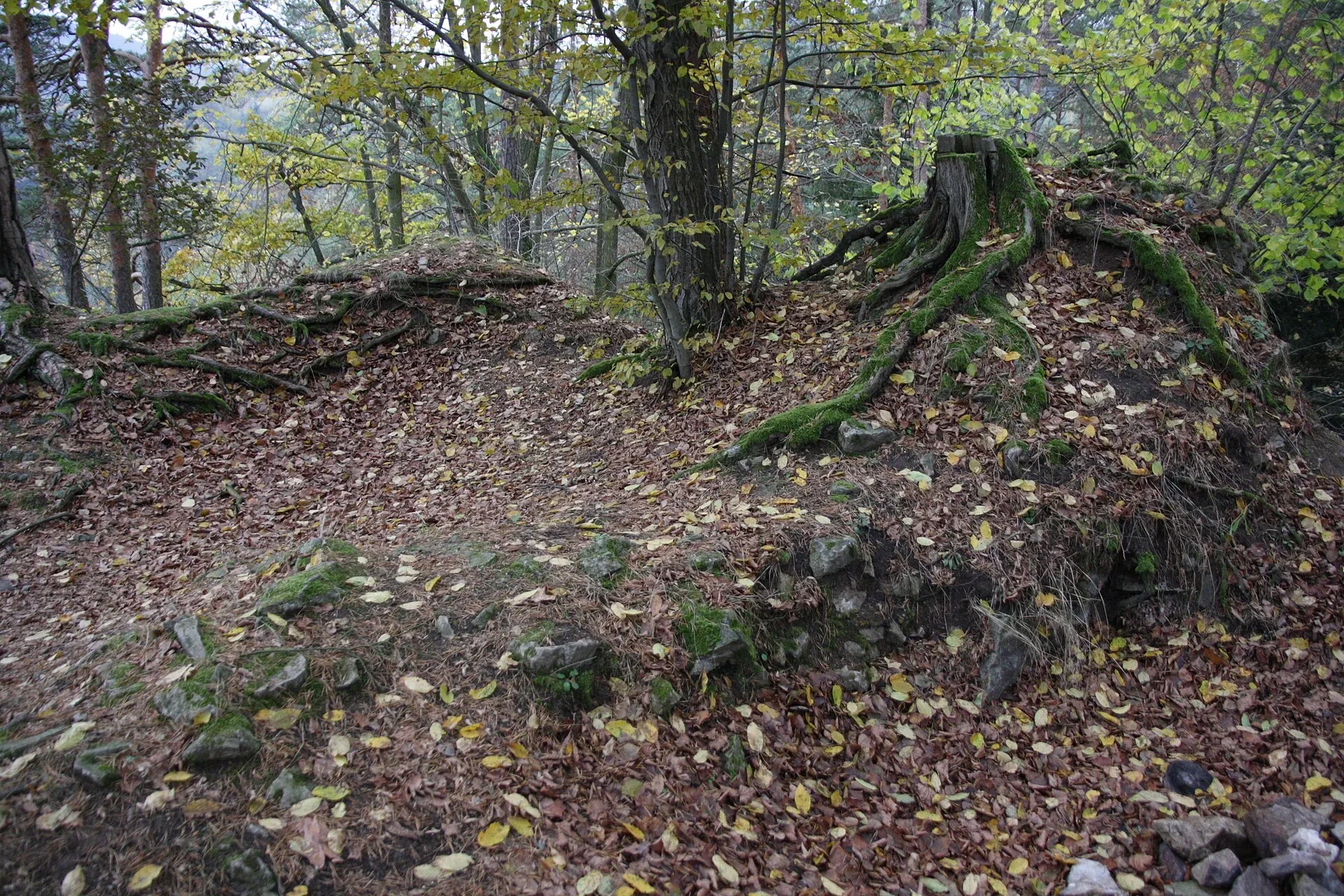 Fotografie místa Košíkov