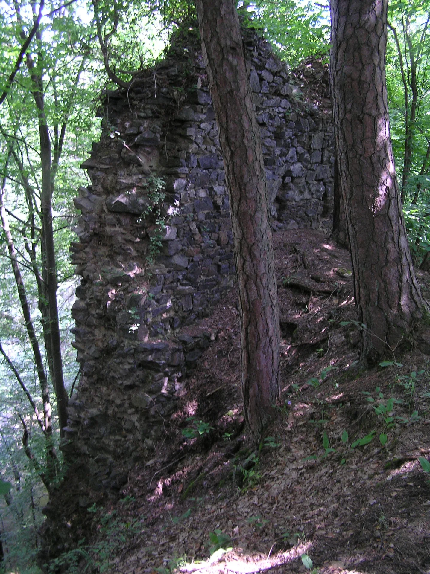 Fotografie místa Kozí hřbet, hrádek