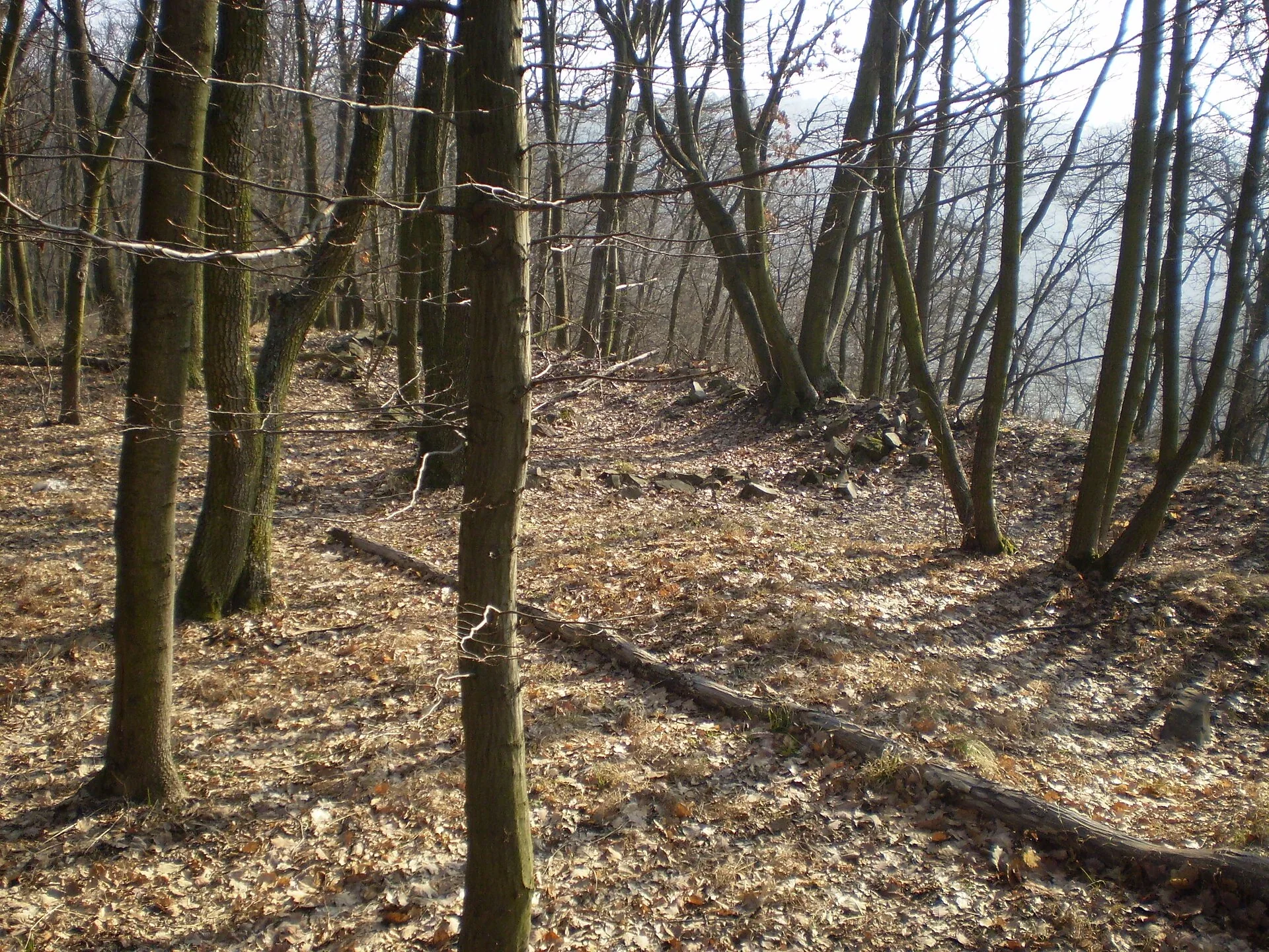Fotografie místa hrad Horákov