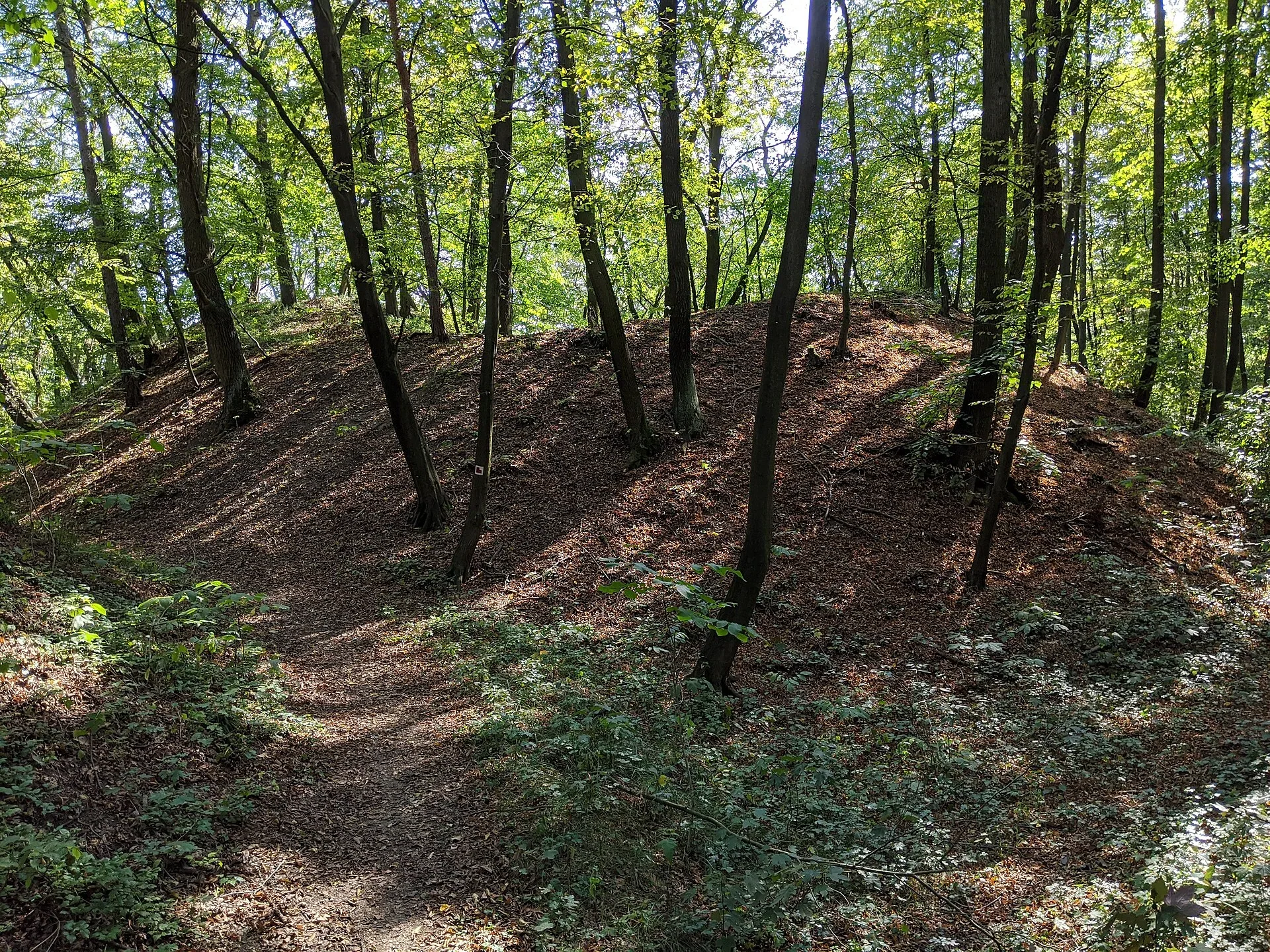 Fotografie místa Jevín