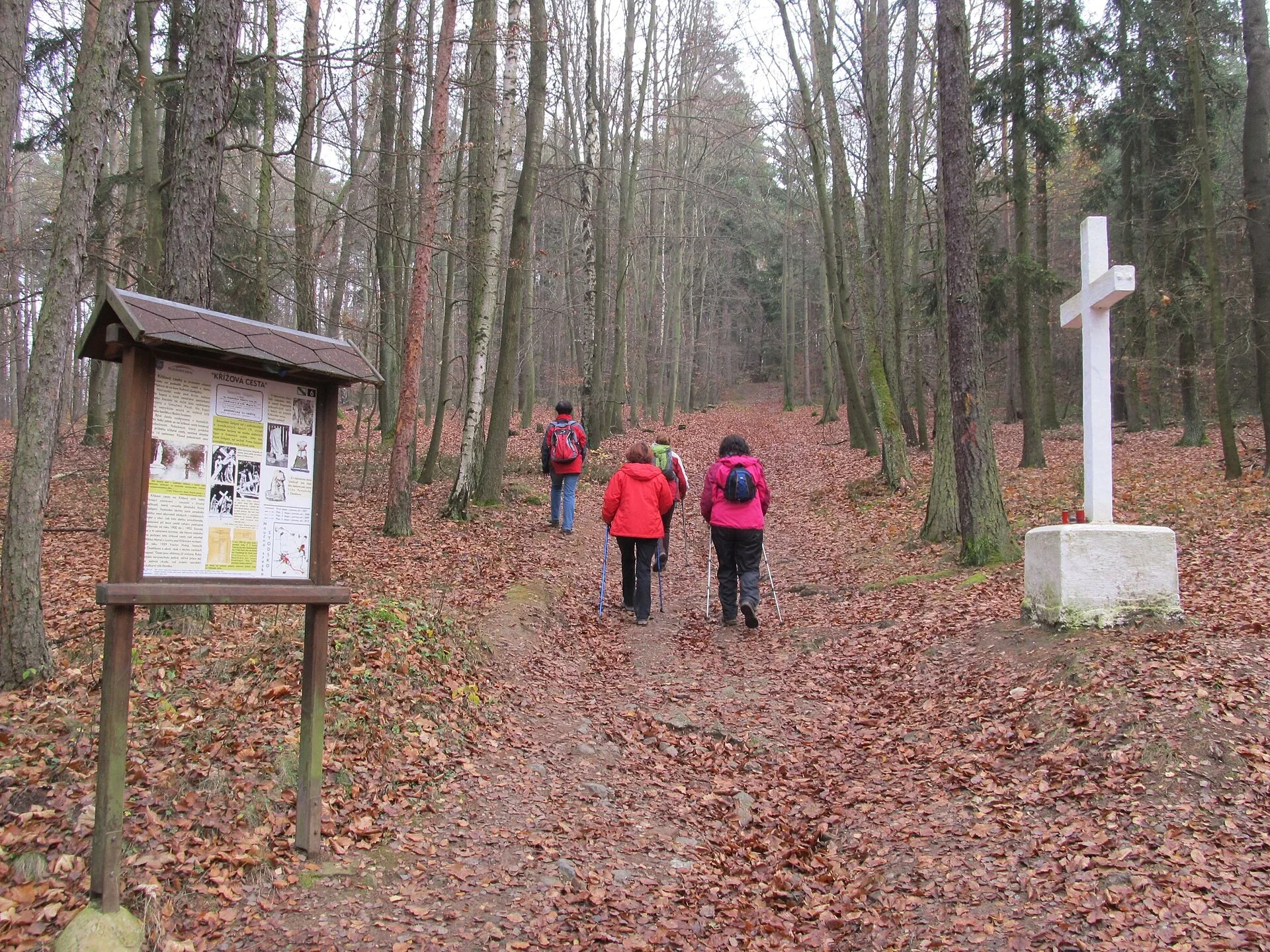 Fotografie místa Křížový vrch rozhledna