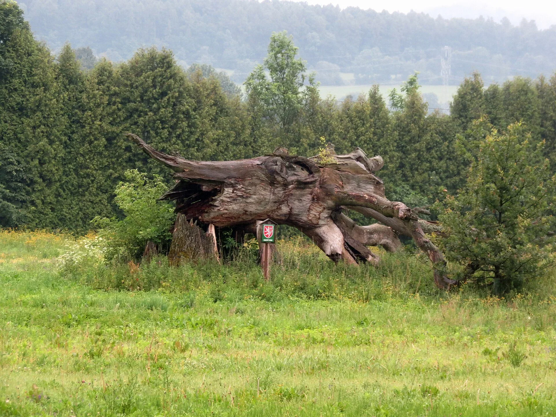 Fotografie místa Popravčí dub - torzo