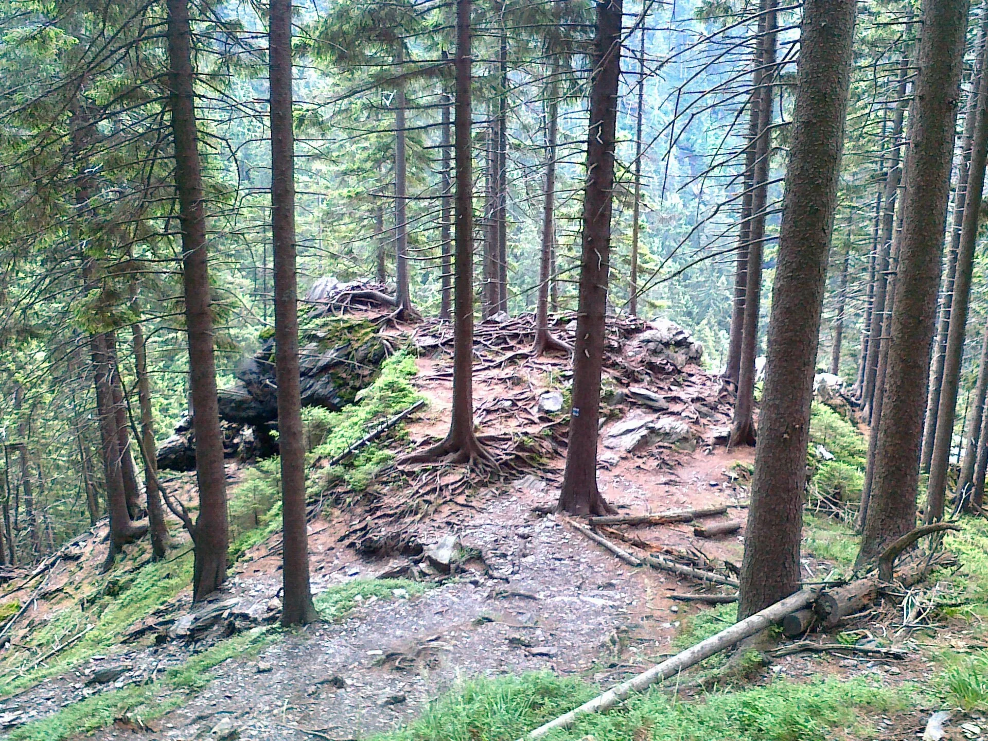 Fotografie místa Sokolí skála