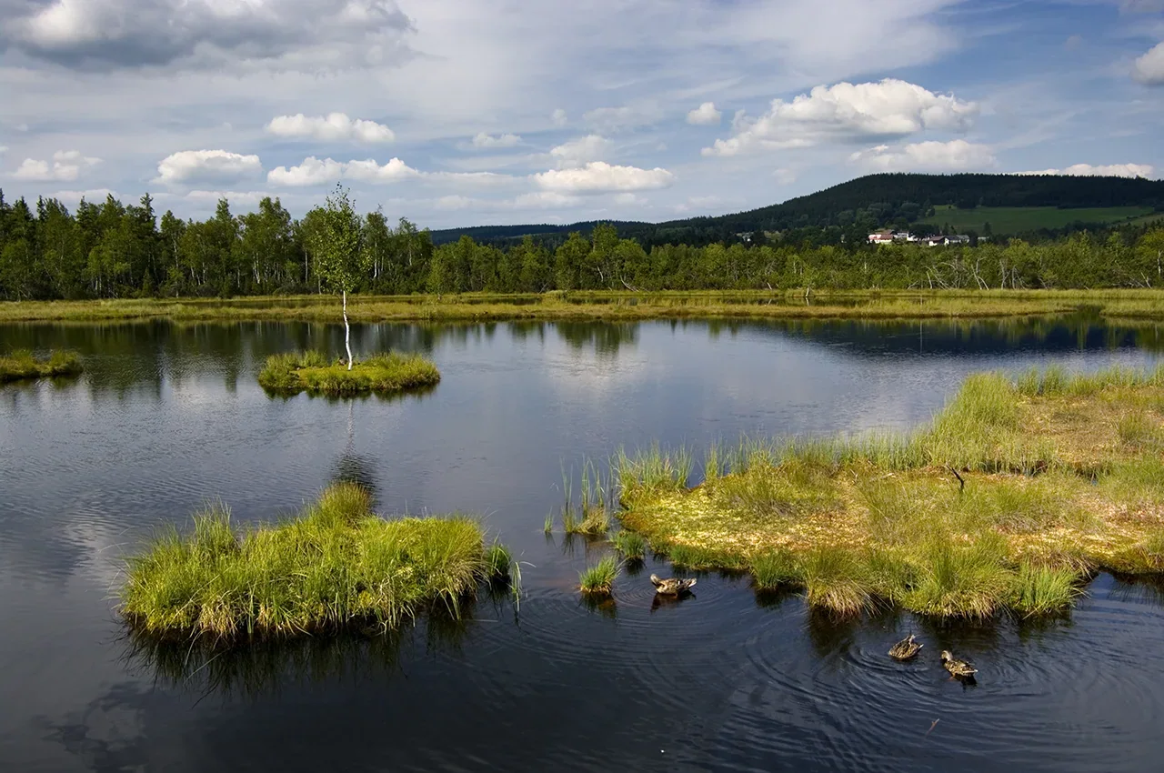 Fotografie místa Chalupská Slat