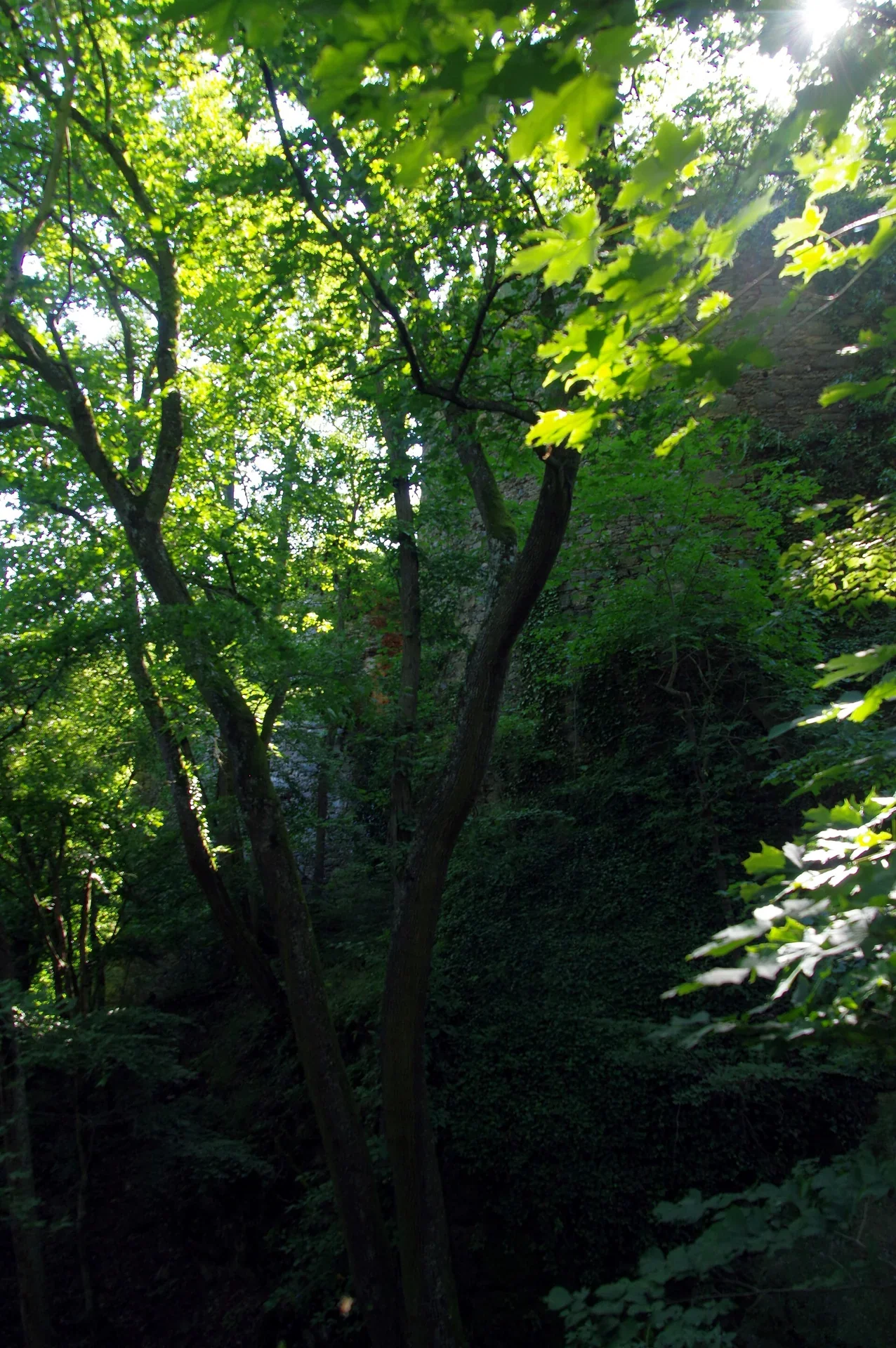Fotografie místa Nový Hrádek