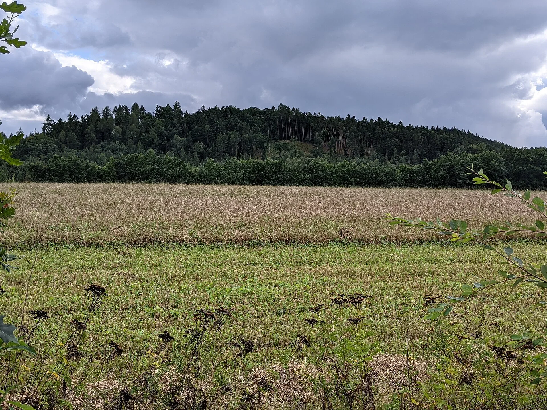 Fotografie místa hradiště U Svaté Anny