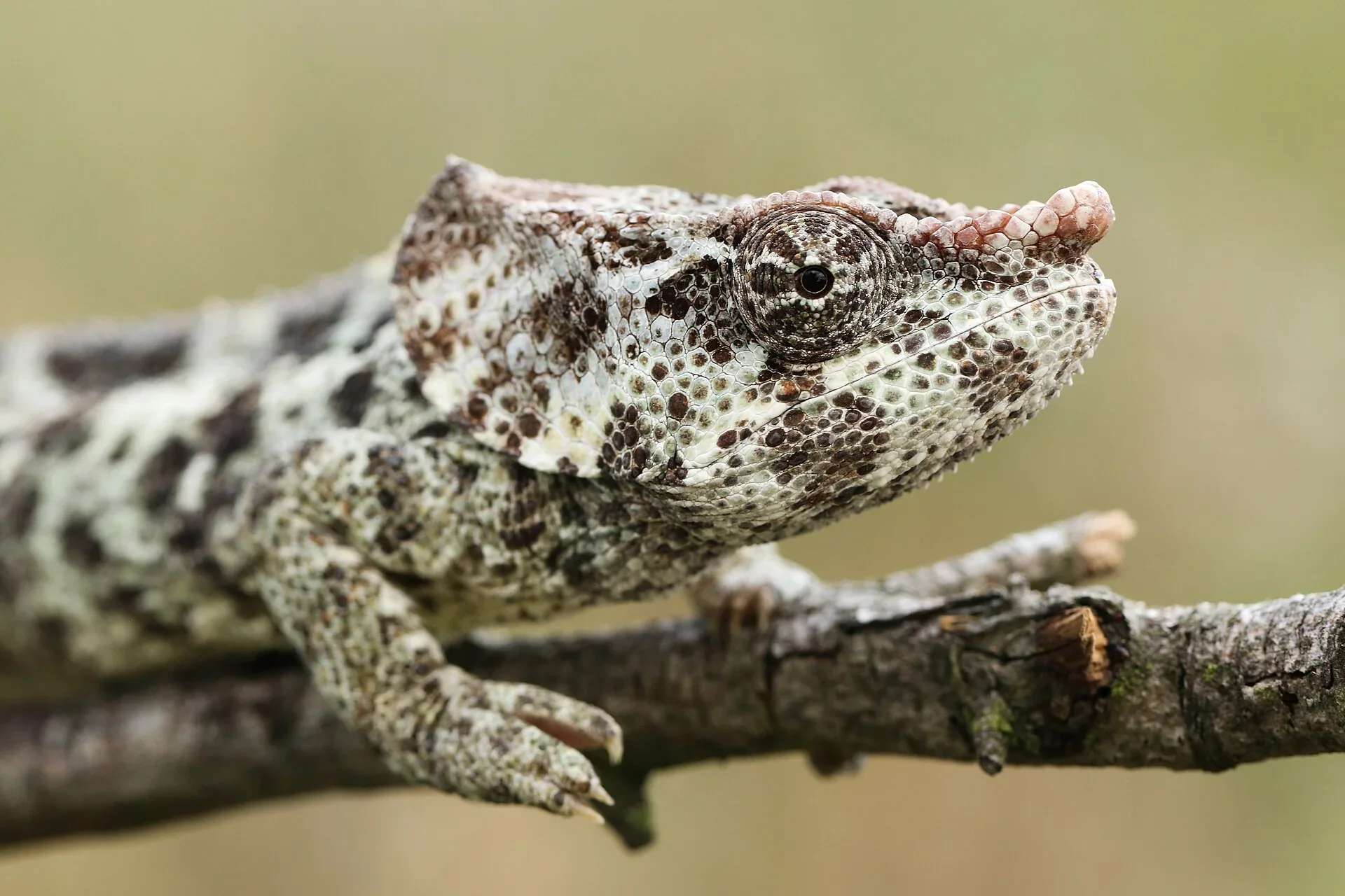 Fotografie místa Zoopark Zájezd