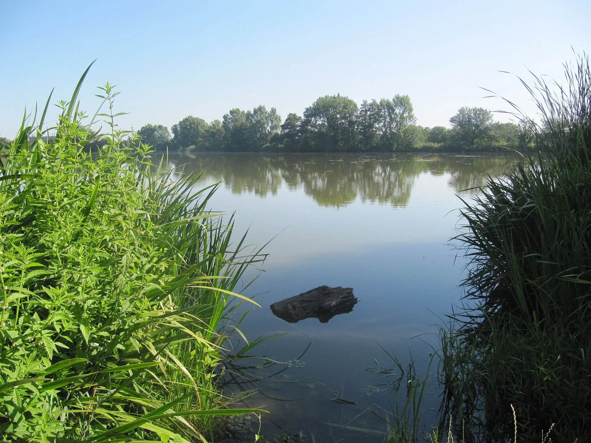Fotografie místa NPP Chropyňský rybník