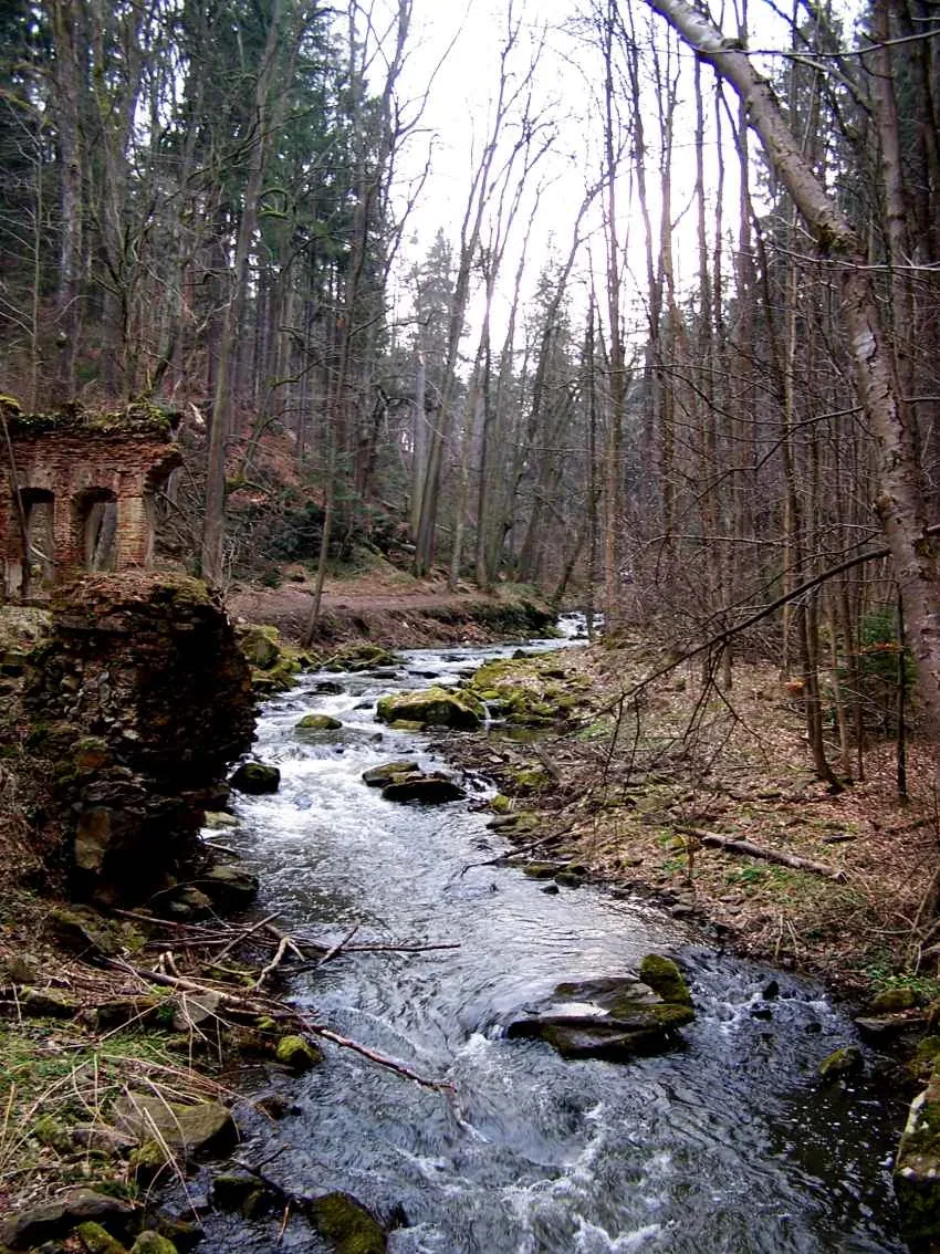 Fotografie místa NPP Terčino údolí