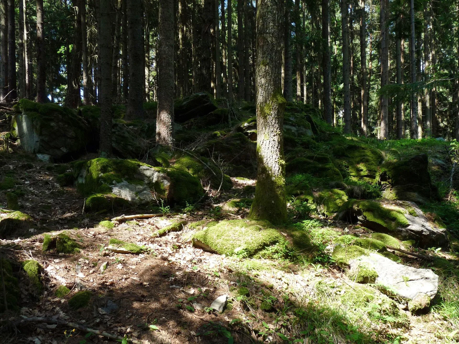 Fotografie místa PR Hamižná