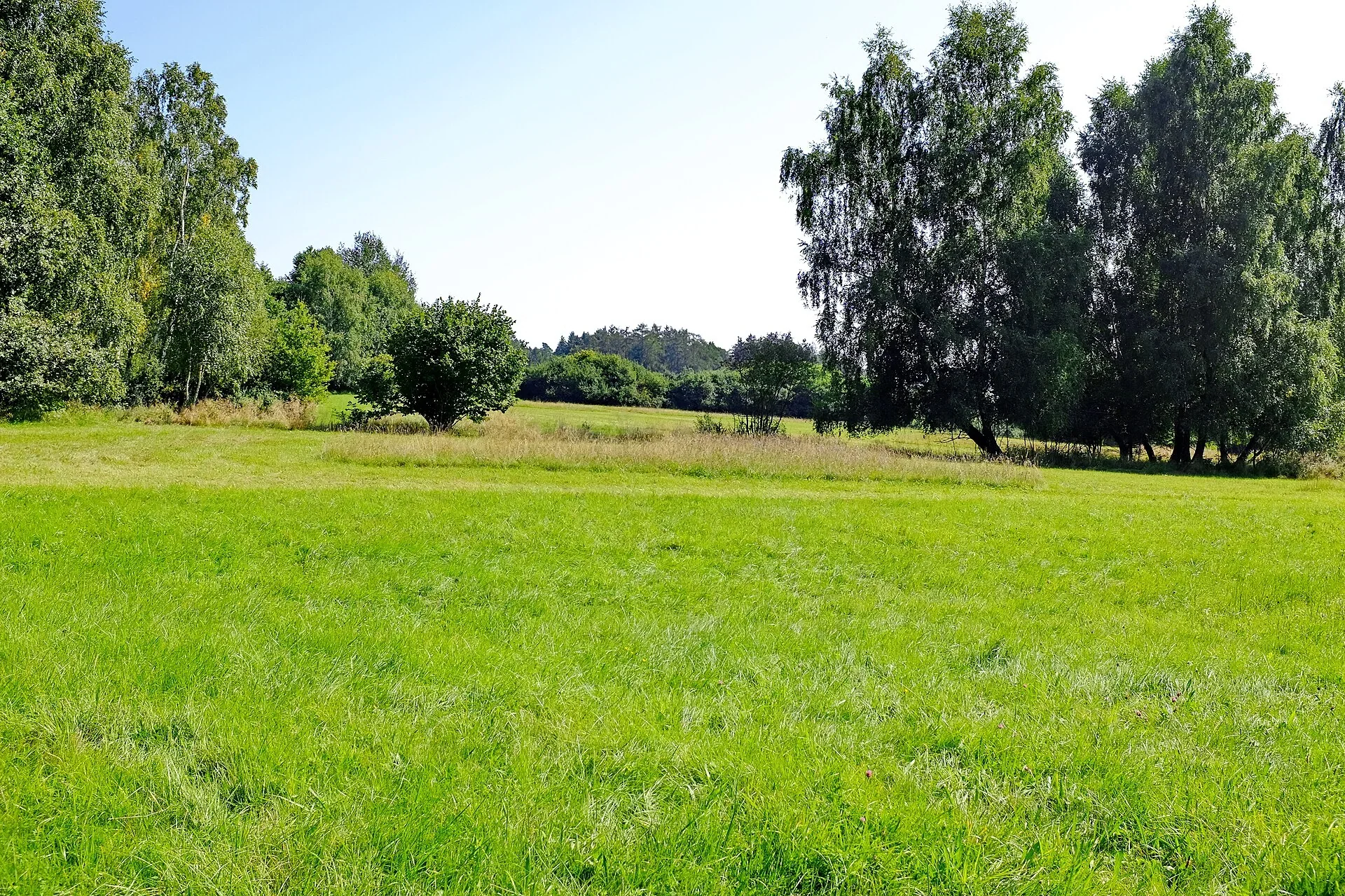 Fotografie místa přírodní památka Hvožďanská louka