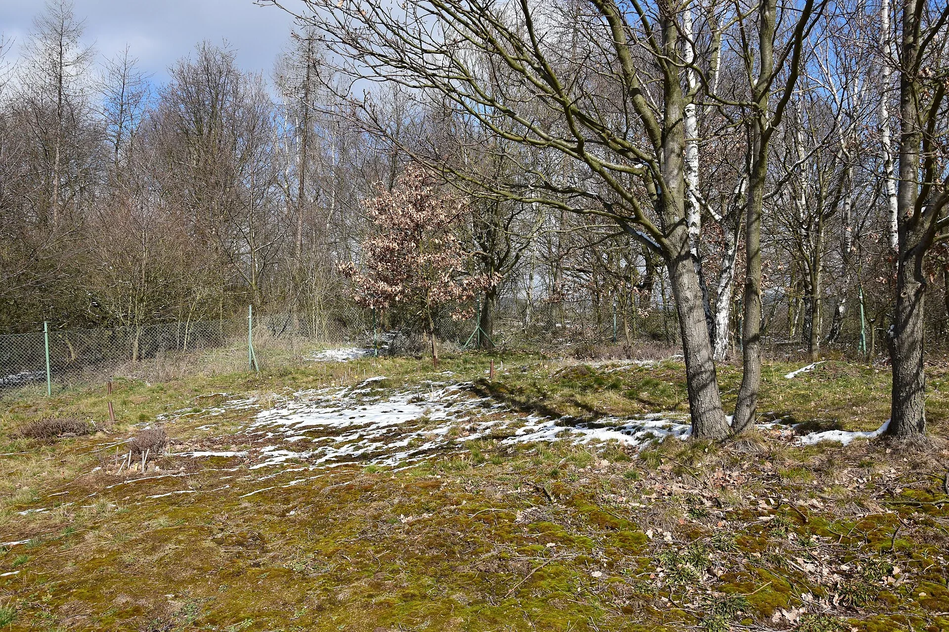 Fotografie místa PP Krásná Lípa