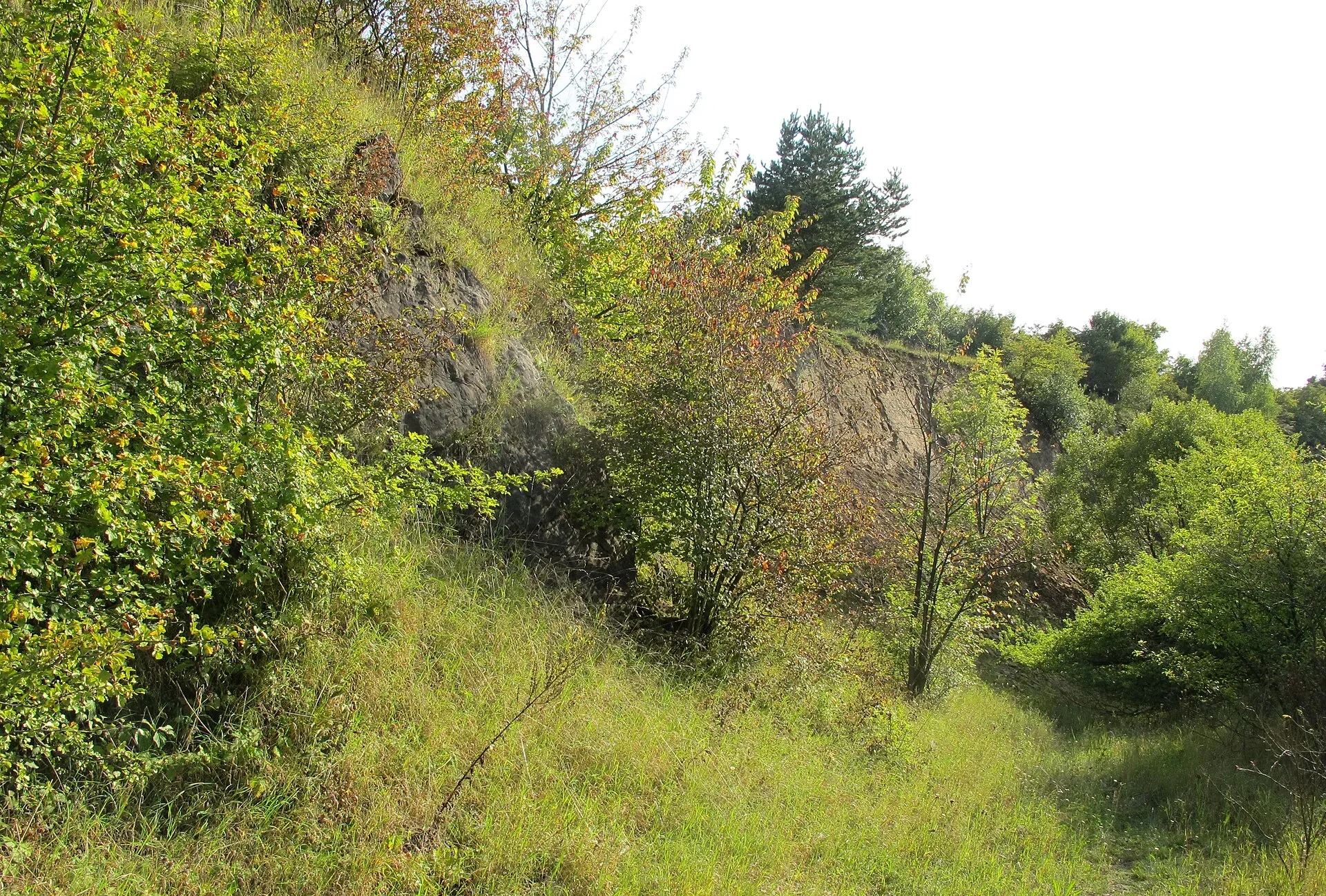 Fotografie místa přírodní památka Lom Kozolupy