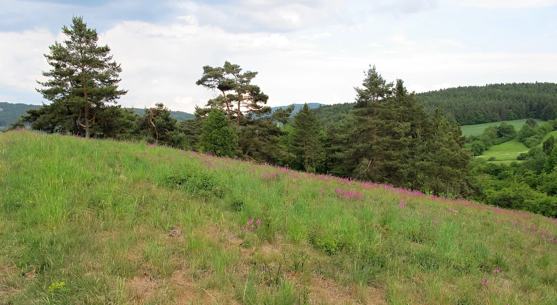 Fotografie místa přírodní památka Na horách