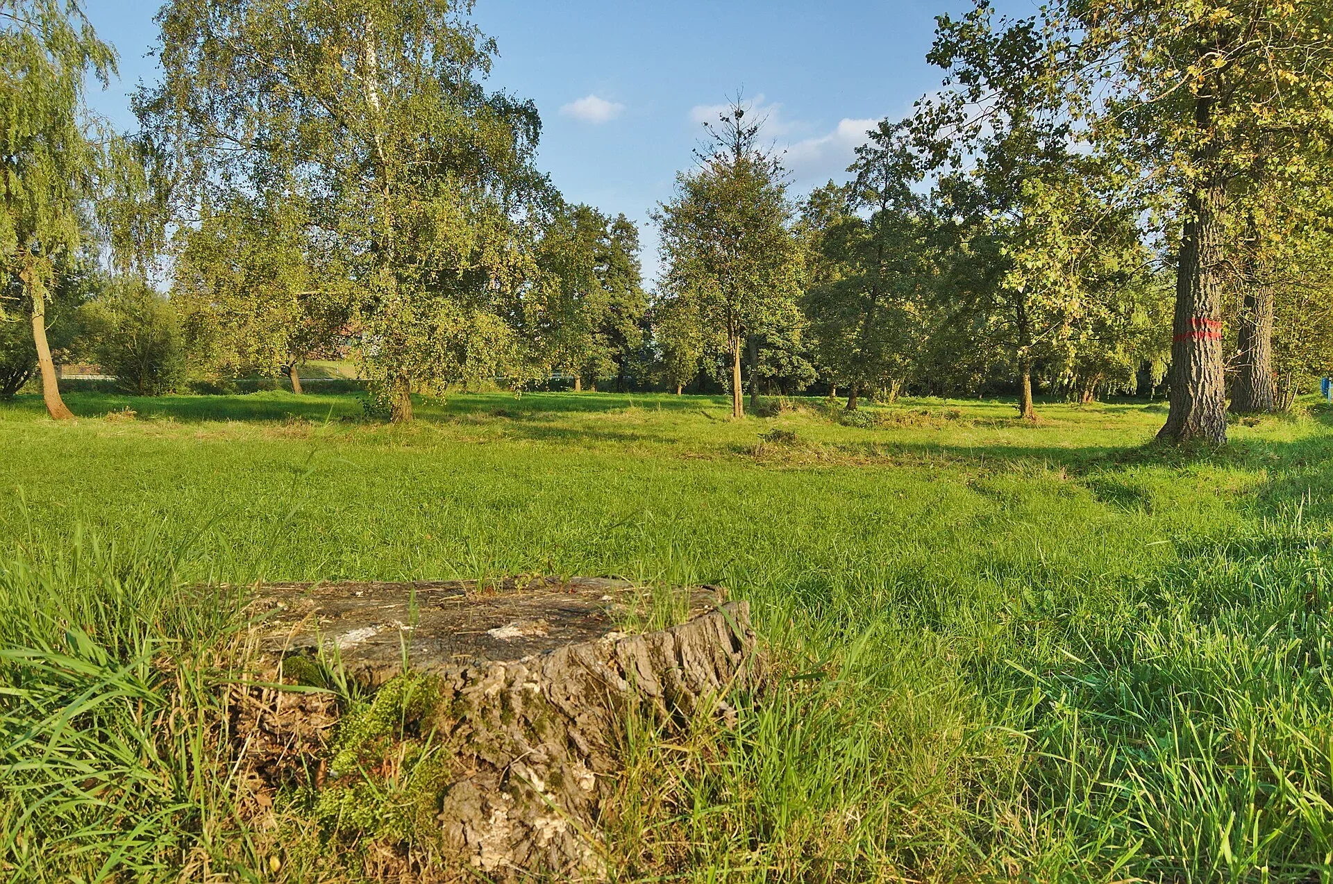 Fotografie místa PP Návesní niva