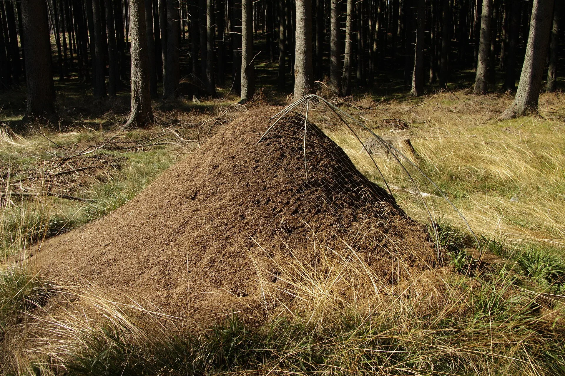 Fotografie místa PP Poušť