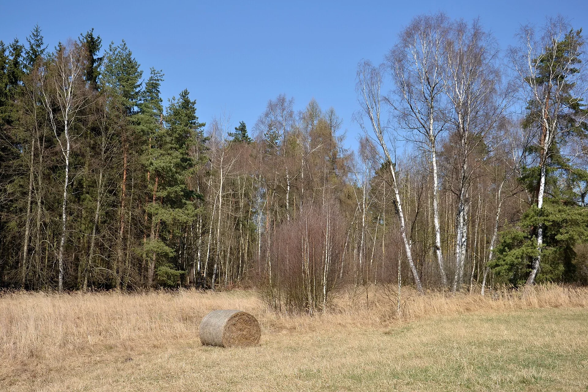 Fotografie místa PP Prameny Javornice
