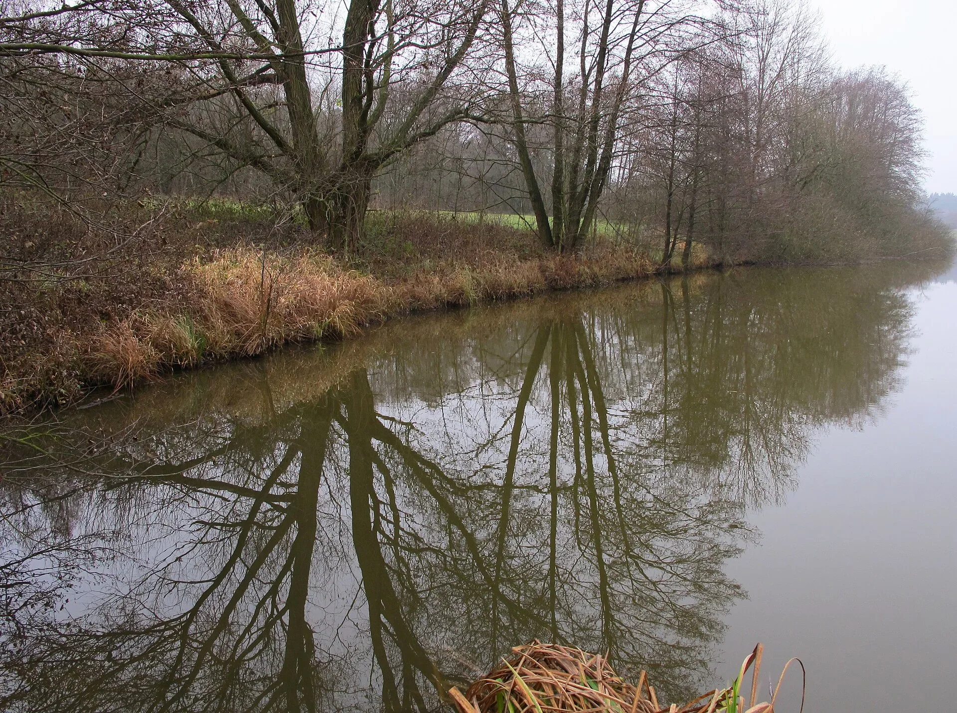 Fotografie místa přírodní památka Rybník Vražda