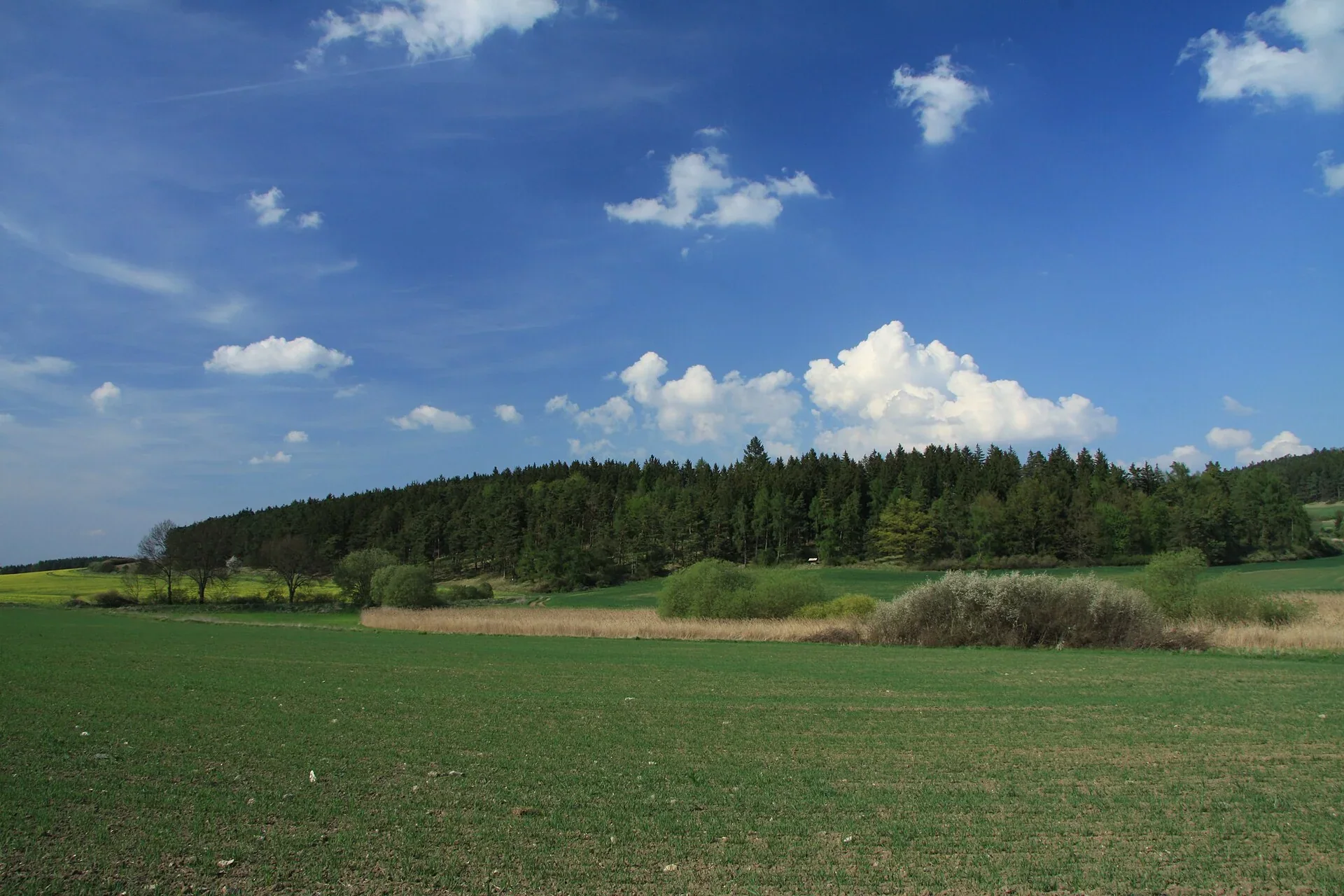 Fotografie místa PP Sedlina