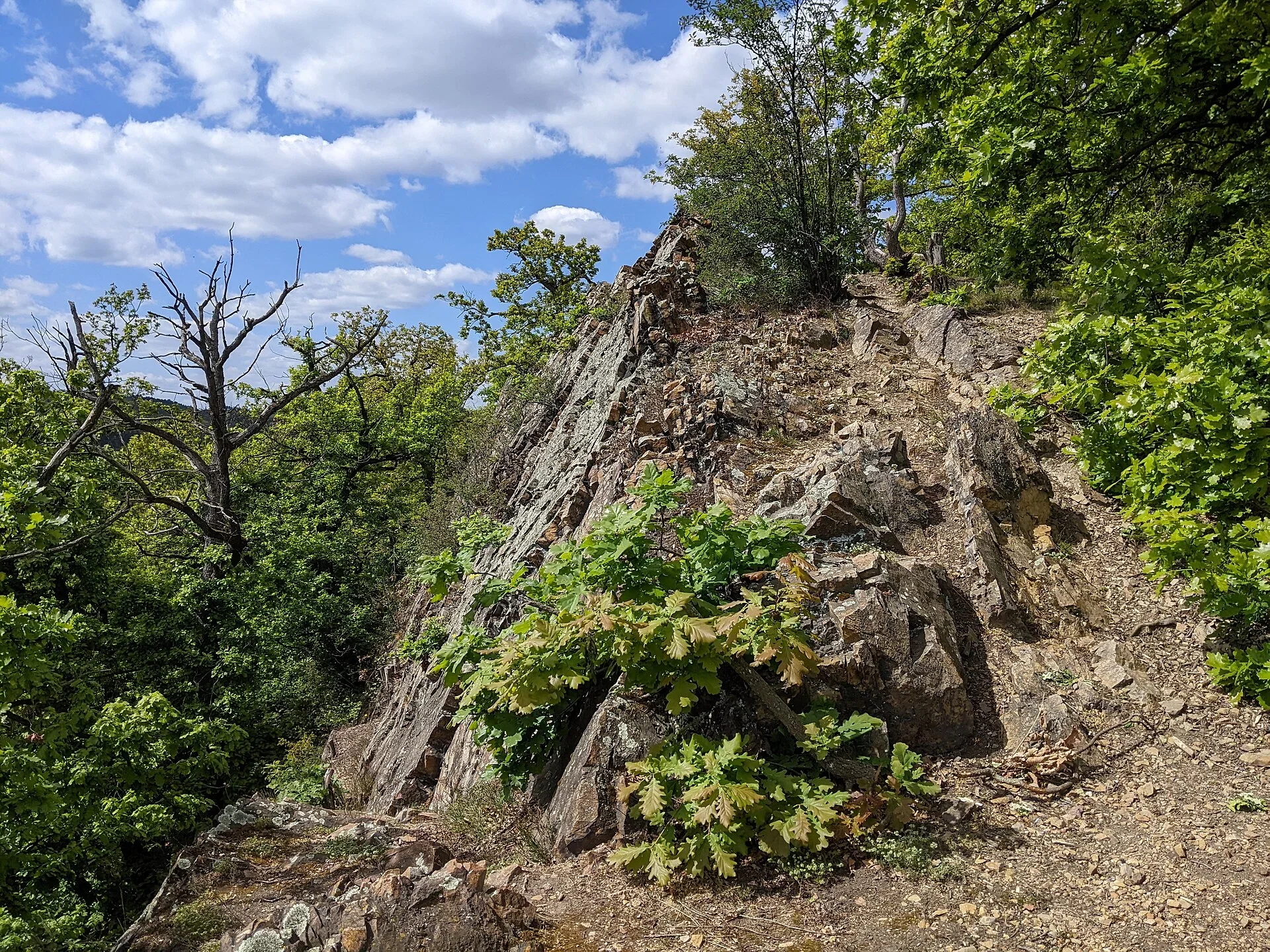 Fotografie místa přírodní památka Skalka
