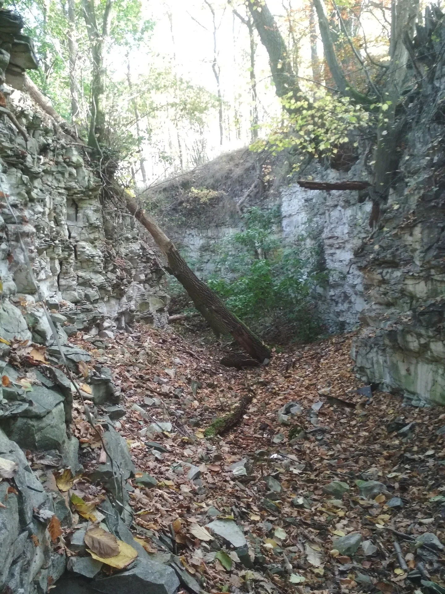 Fotografie místa přírodní památka Smečenská rokle