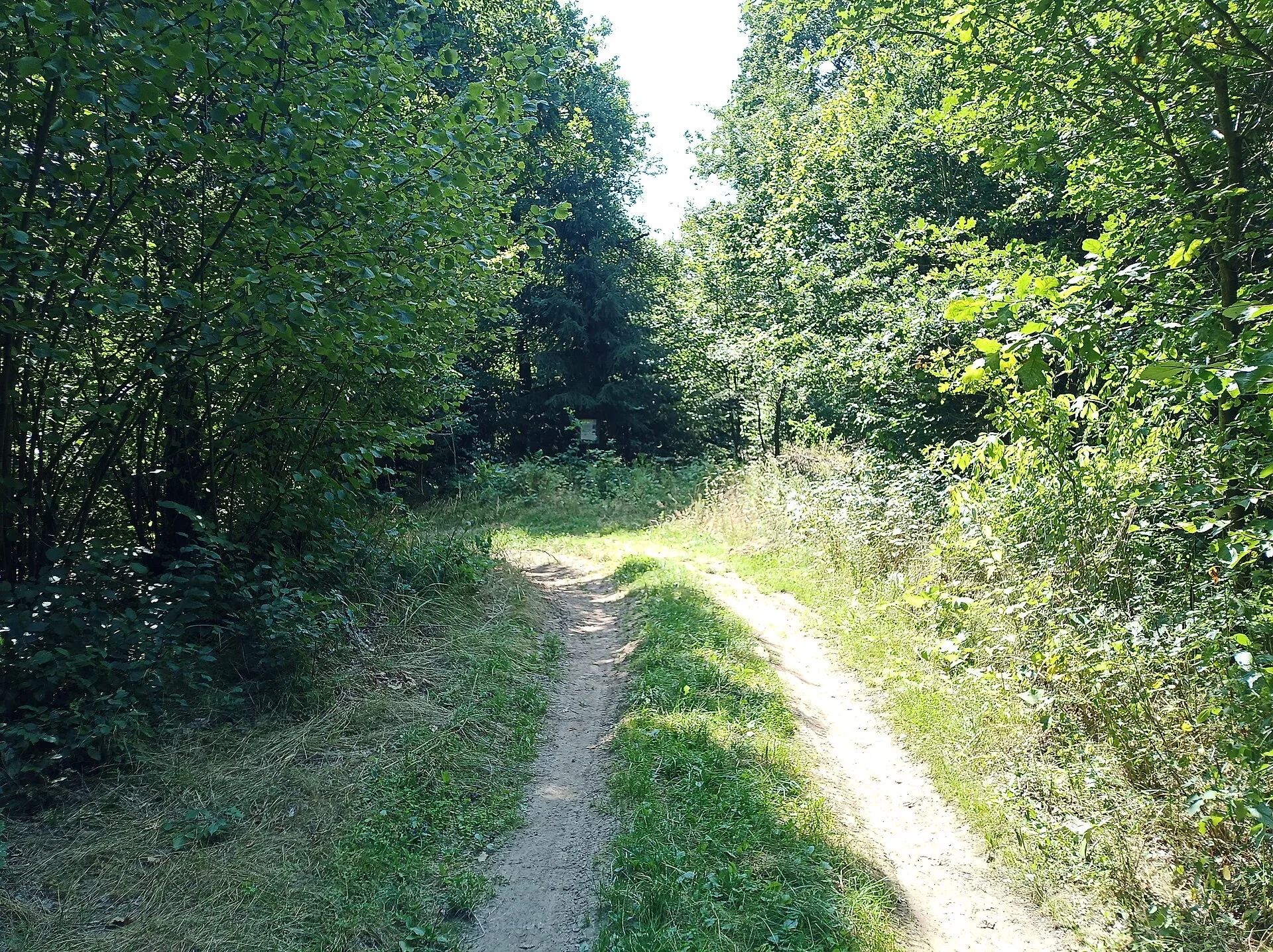 Fotografie místa Vrcovice (hradiště)